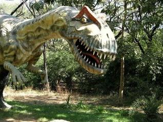 Hoeveel geld krijg je als er een dinosauriër op je auto gaat staan?