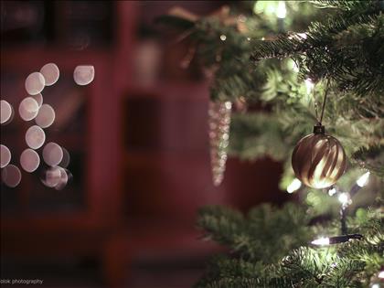 Gratis dagjes uit met kerst